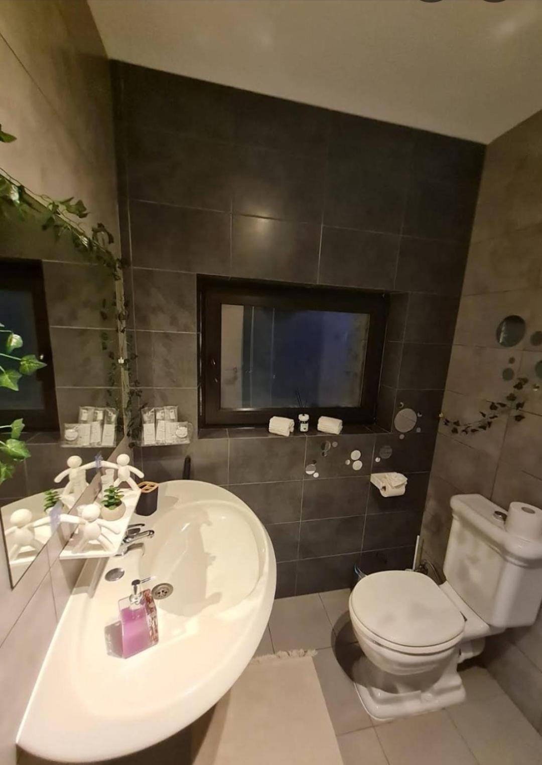 Vila Emma Rîşnov المظهر الخارجي الصورة